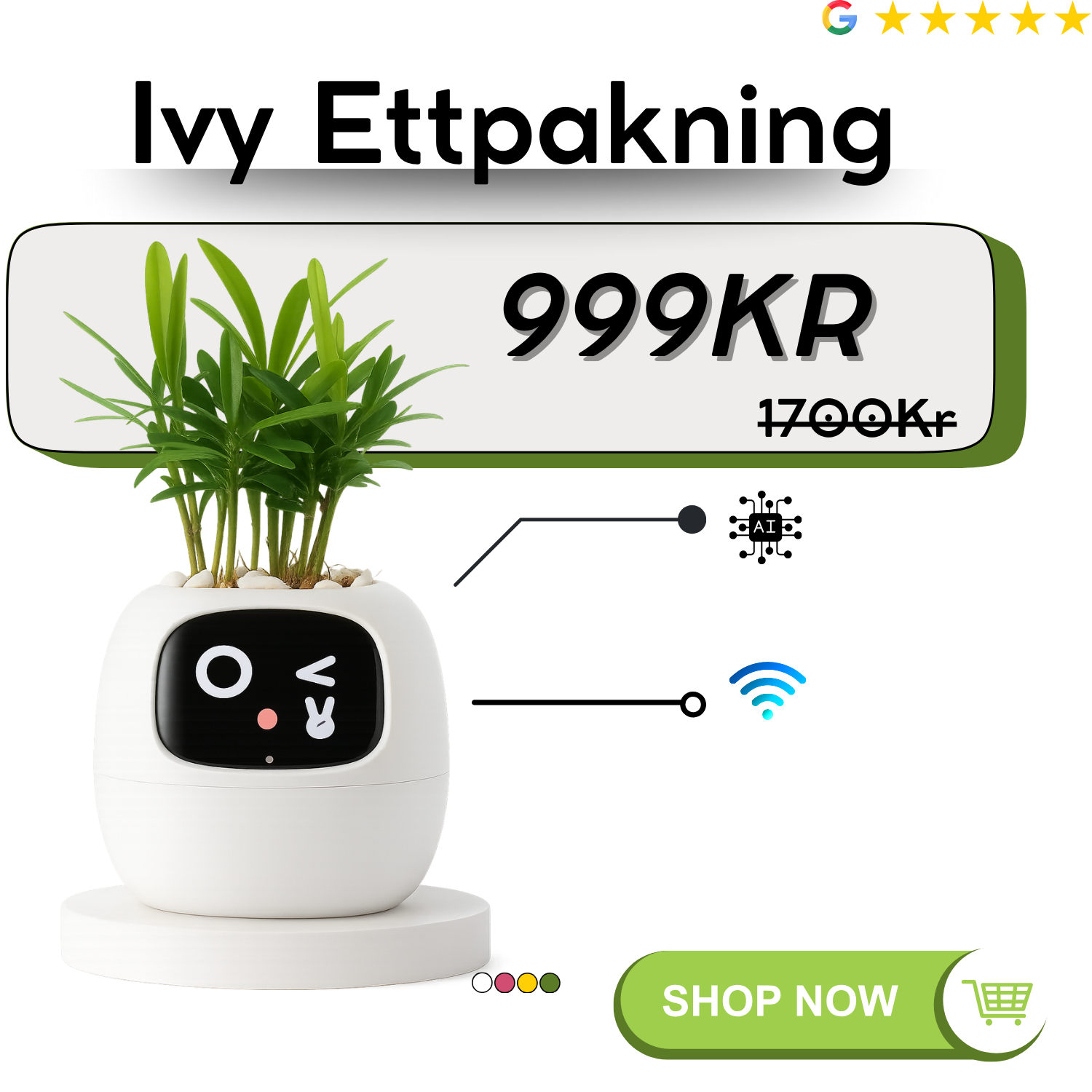 Ivy Ettpakning