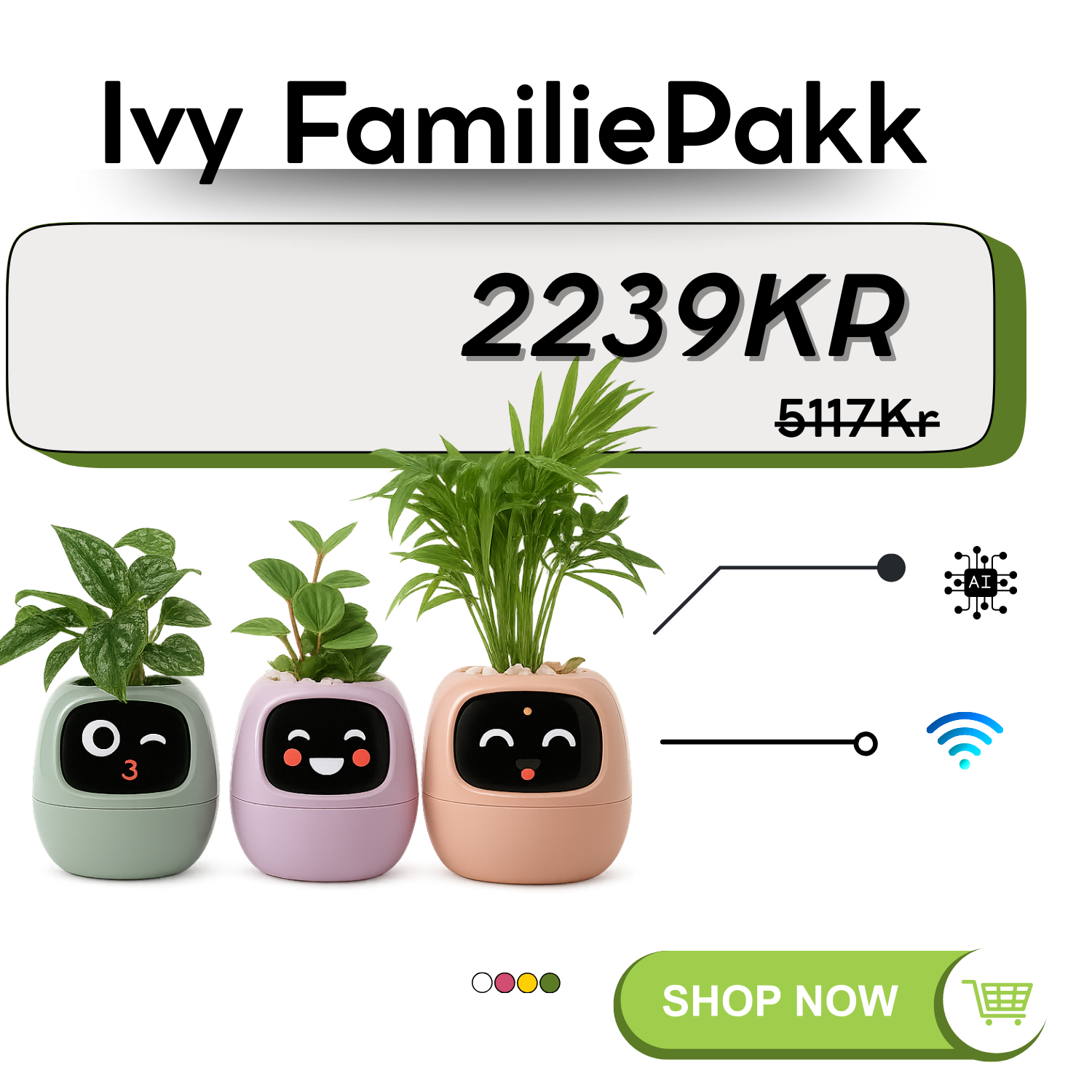 Ivy Familiepakk